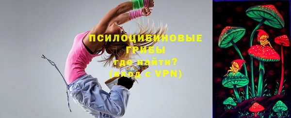 Альфа ПВП Алзамай